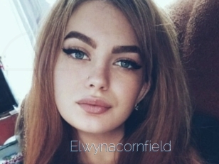 Elwynacornfield