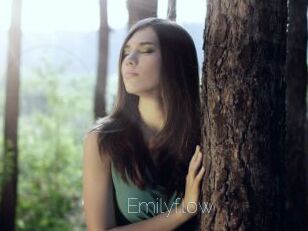 Emilyflow