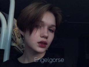 Engelgorse