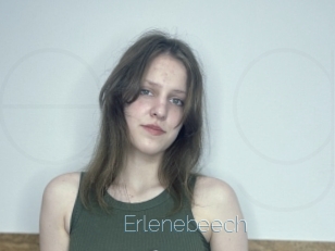 Erlenebeech