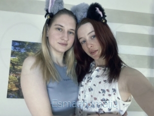 Esmaandmatia