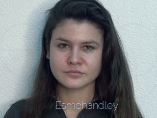 Esmehandley