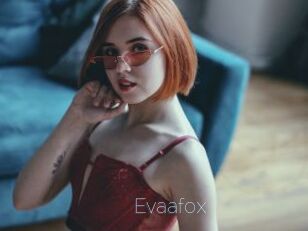 Evaafox