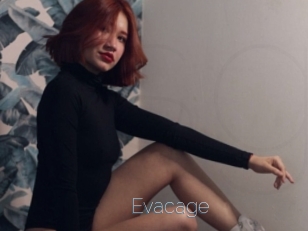 Evacage