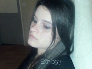Exhib93