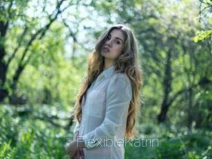 FlexibleKatrin