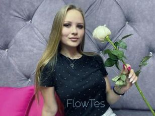 FlowTes