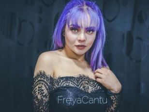 FreyaCantu