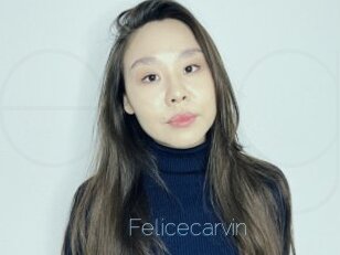 Felicecarvin