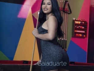 Gaiaduarte