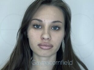 Gaynacornfield