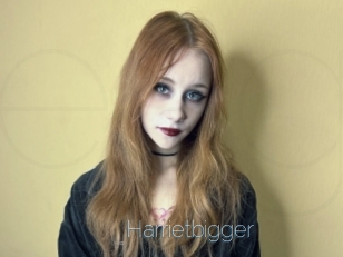 Harrietbigger