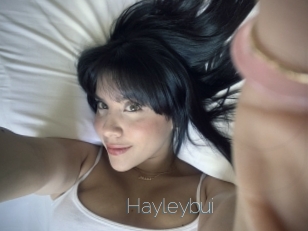 Hayleybui