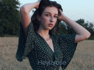 Heylarose