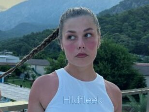 Hildfleek