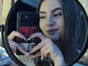 Hollisatcher