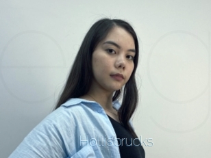 Hollisbrucks