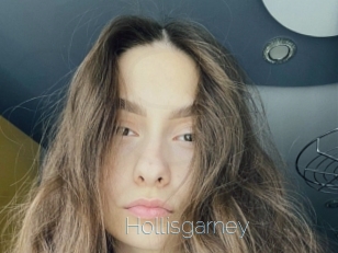 Hollisgarney
