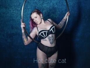 Hot_cute_cat