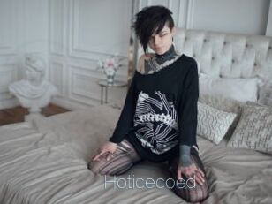 Hoticecoed