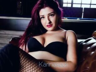 Karinasodi