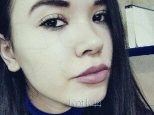 Kotik44
