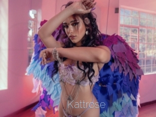 Kattrose
