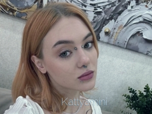 Kattyamini
