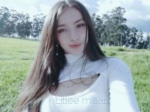Litlee_miaa11