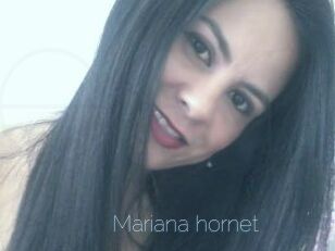 Mariana_hornet