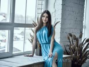 Meadowflowers