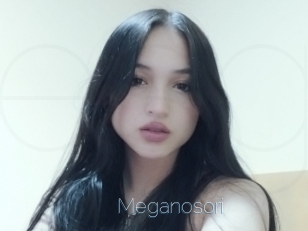 Meganosori
