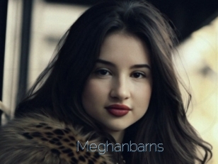 Meghanbarns