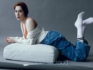 Melisacloud