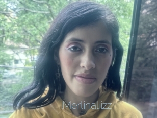 Merlinaliizz