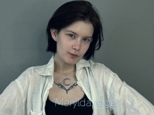 Meryldavidge