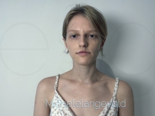 Michelelangeveld