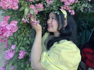 Mirakeat