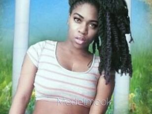 Modelmook