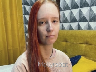 Mollyrabbit