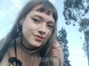 Morgandahlia