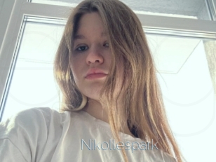 Nikollespark