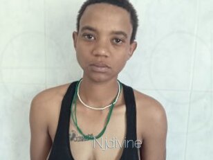 Njdivine