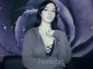 Noraspirit