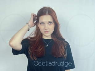 Odeliadrudge