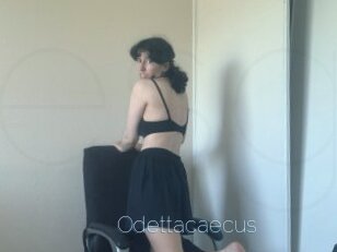 Odettacaecus