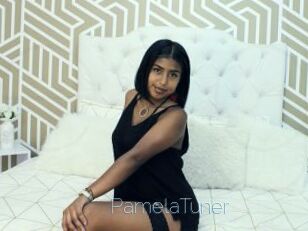 PamelaTuner