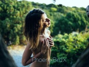 PhoenixBirdX