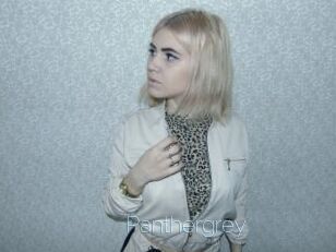 Panthergrey