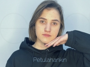 Petulahankin